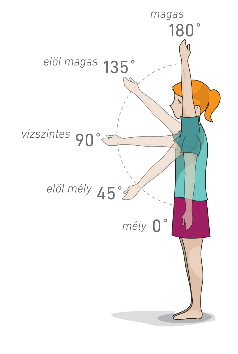 4. ábra: A gesztusok magassági fokai