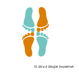 16. ábra: A lábujjak összeérnek