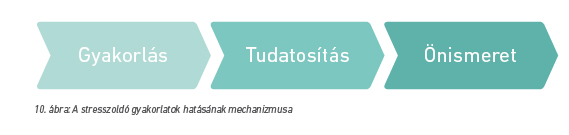 A stresszoldó gyakorlatok hatásának mechanizmusa