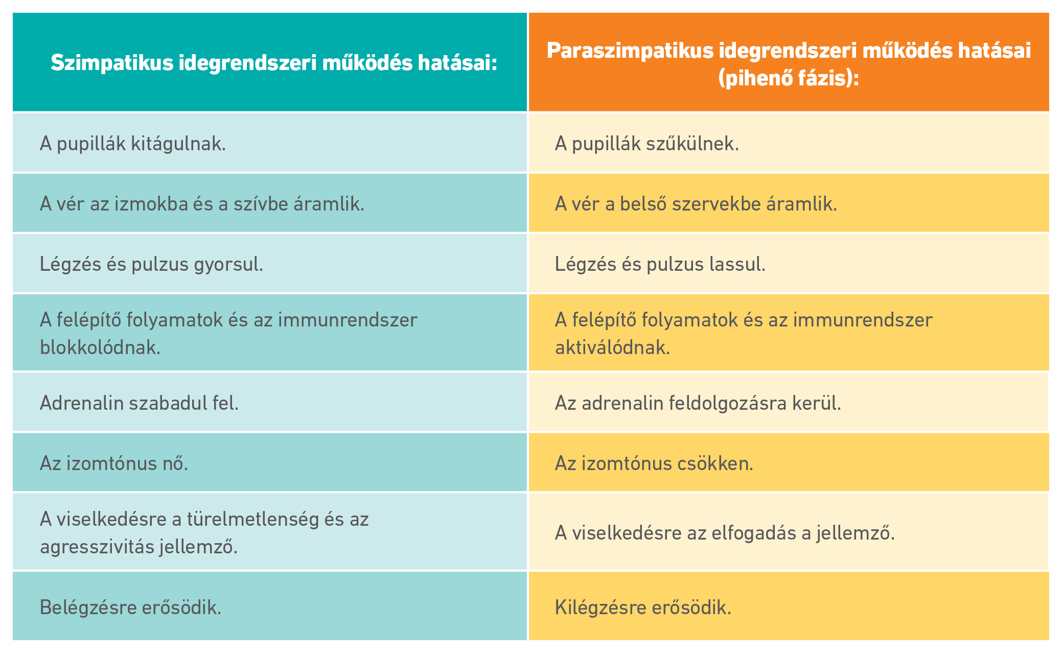Idegrendszer