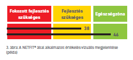 3. ábra: A NETFIT® által alkalmazott értékelés vizuális megjelenítése (példa)
