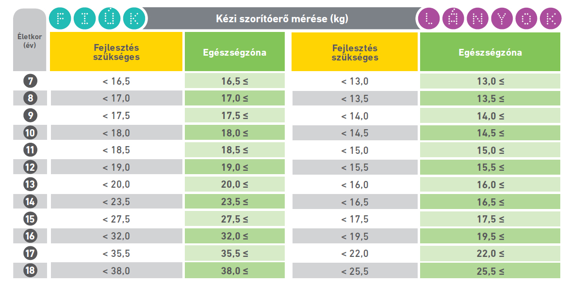 14. táblázat: A kézi szorítóerő mérésének zónahatárai nemek és életkorcsoportok szerinti bontásban