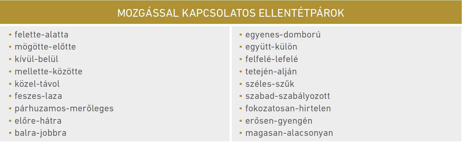 Táblázat