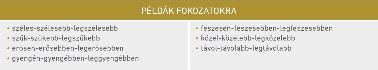 Táblázat