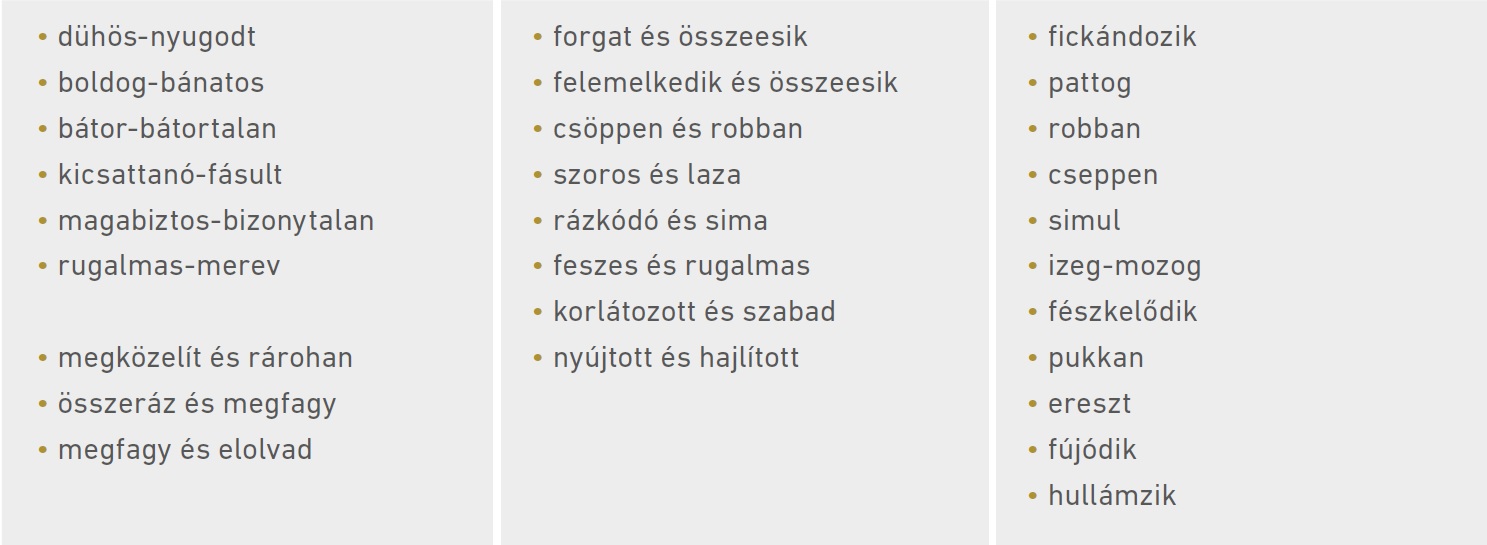 Táblázat