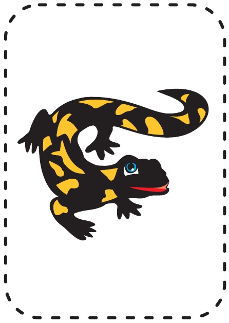 Ábra