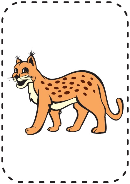 Ábra