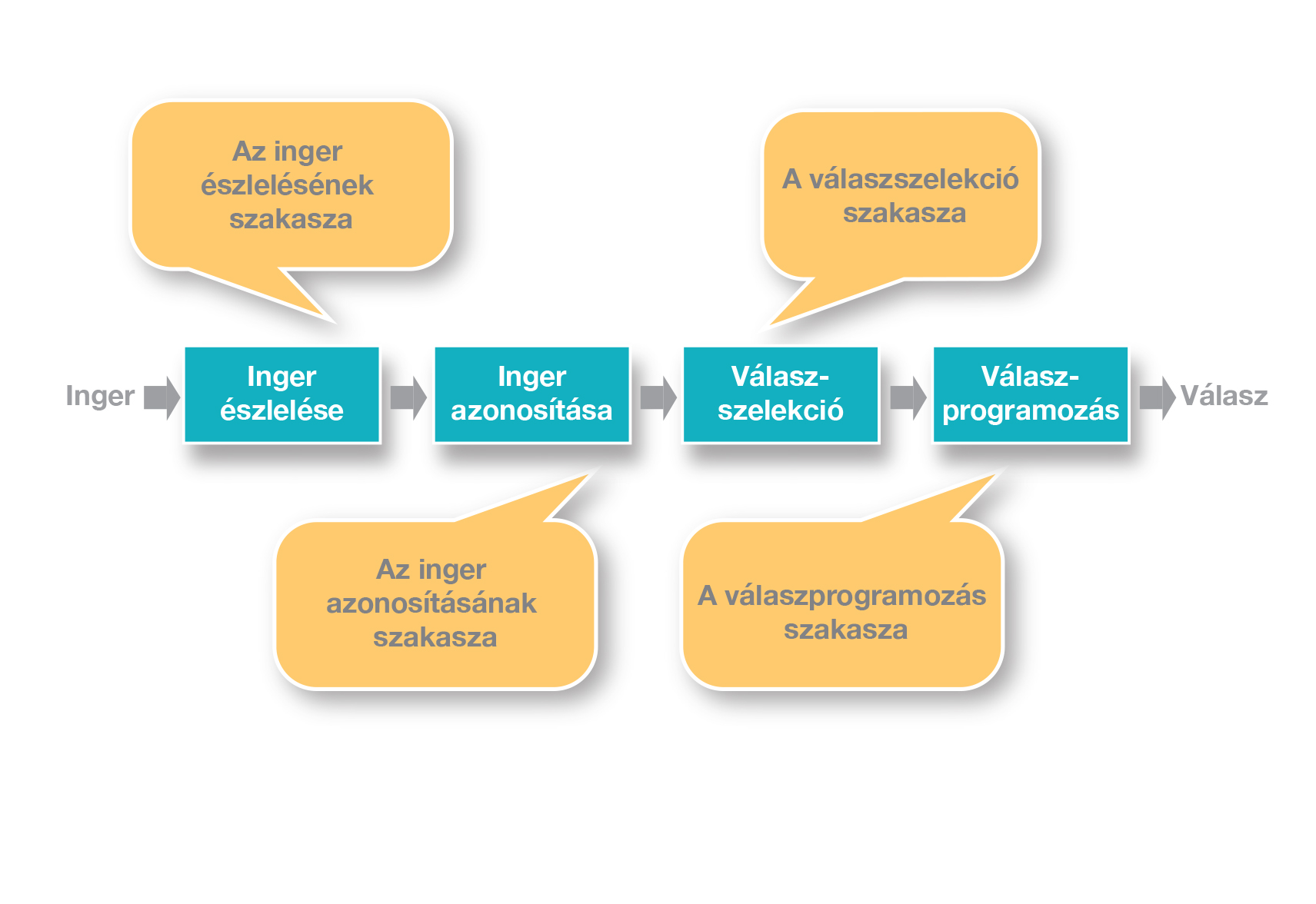 Az információfeldolgozási elmélet (ábra)