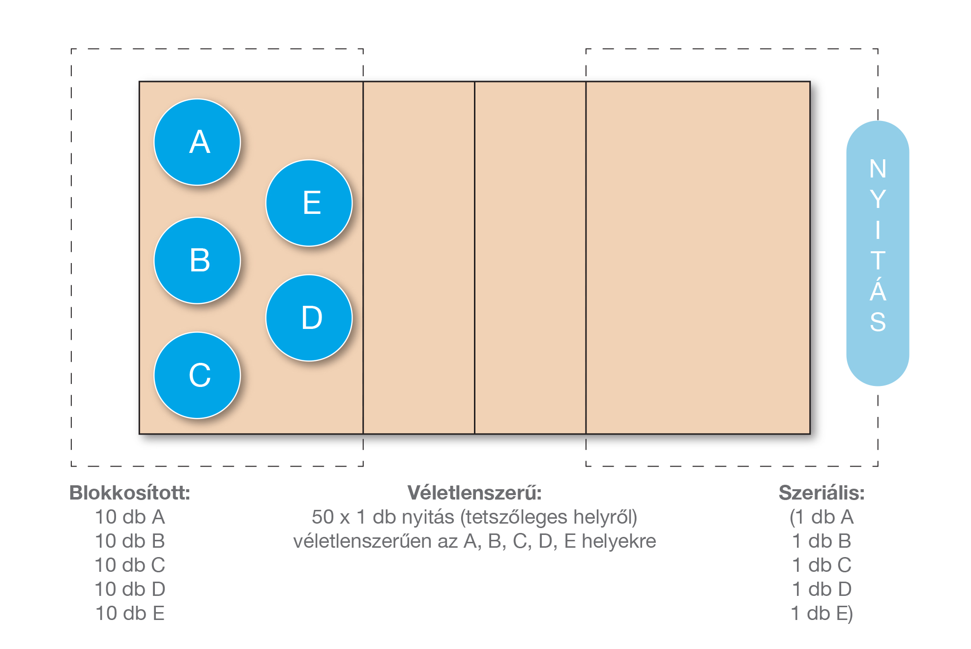 Információfeldolgozási elmélet: blokkosított, véletlenszerű és szeriális módszer (ábra)