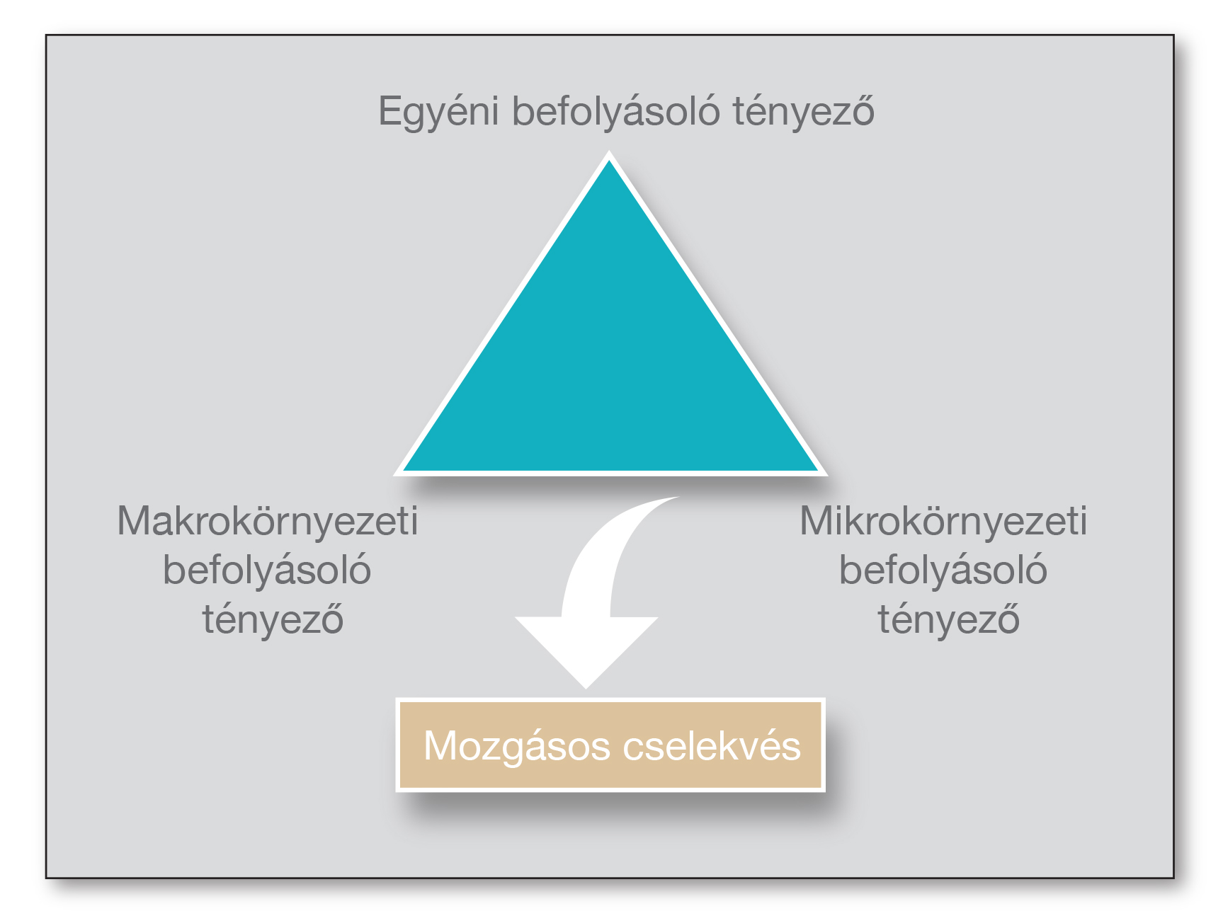 A mozgásos cselekvéseket befolyásoló tényezők (ábra)