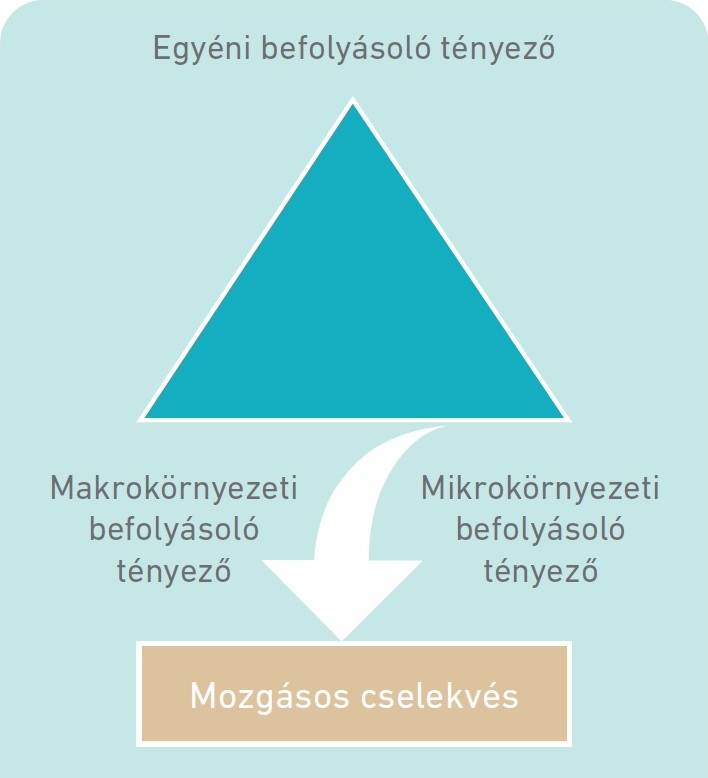 2. ábra: A mozgásos cselekvések úgynevezett befolyásoló tényezői