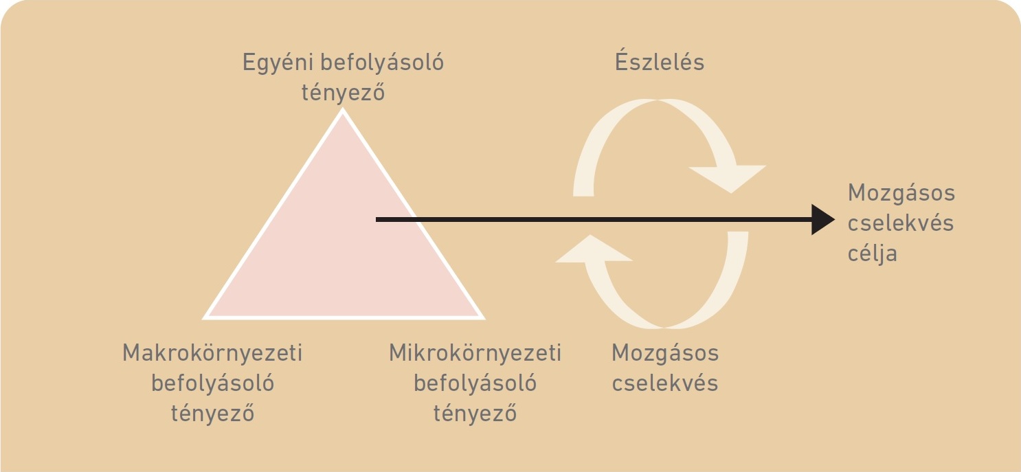 3. ábra: A mozgásos cselekvések befolyásoló tényezőinek és az észlelés, cselekvés, észlelés folyamatának kapcsolata (Vass 2020)