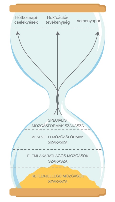 4. ábra: A mozgásfejlődés „homokóra”-modellje
