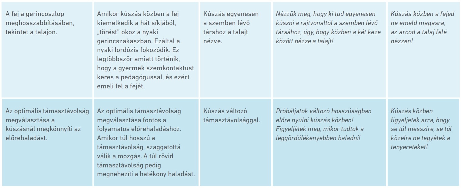 Táblázat