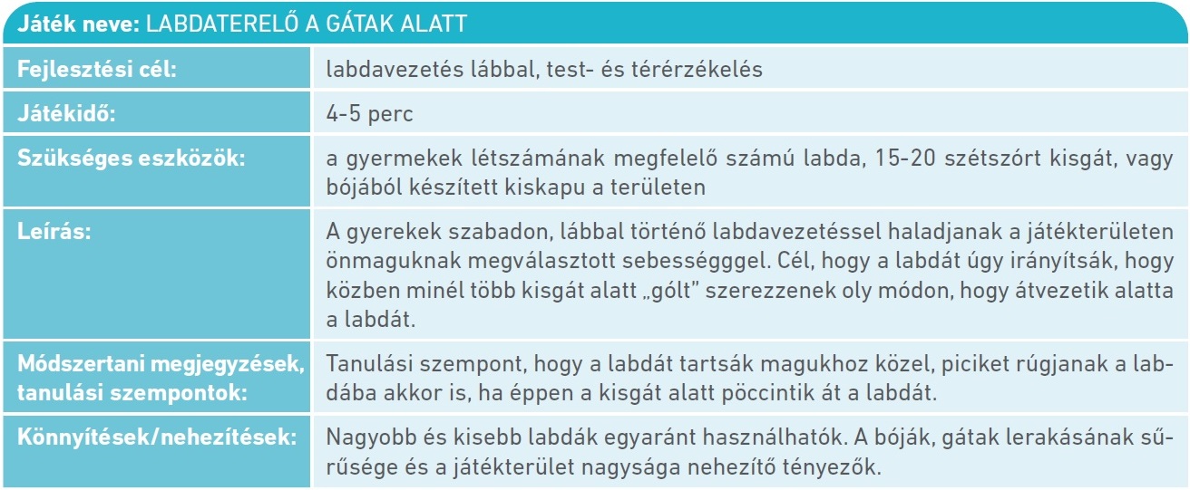 Táblázat