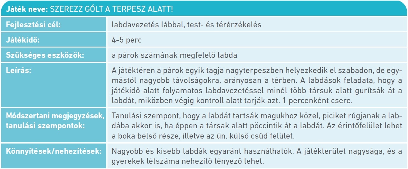 Táblázat