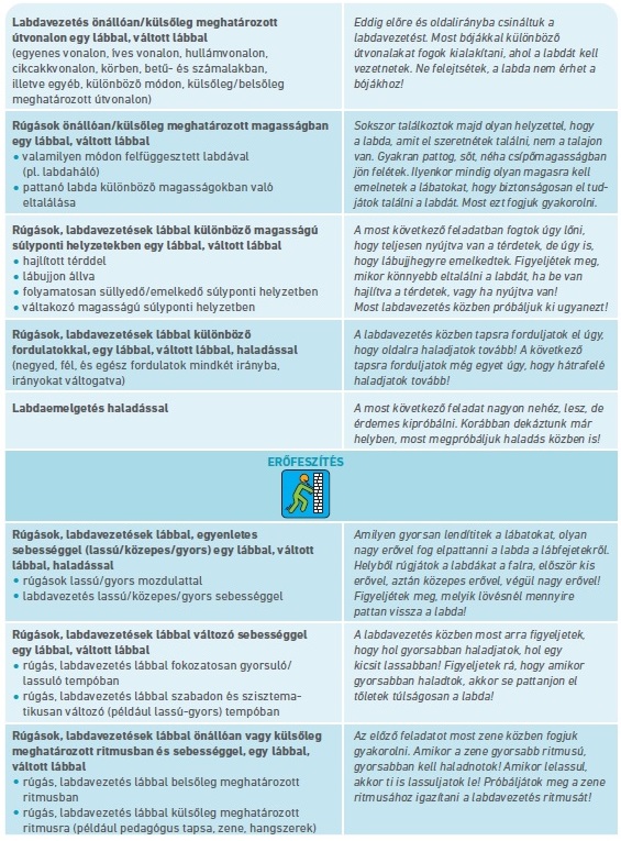 Táblázat