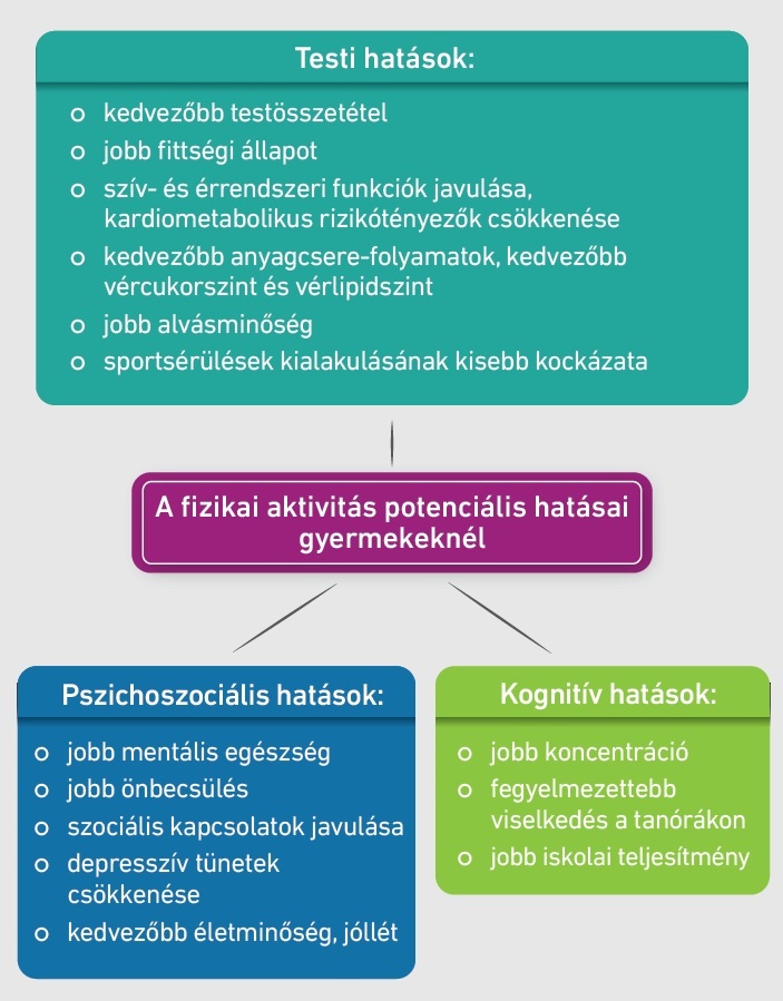 2. ábra: A fizikai aktivitás potenciális hatásai gyermekeknél (Faigenbaum és mtsai., 2020 alapján)