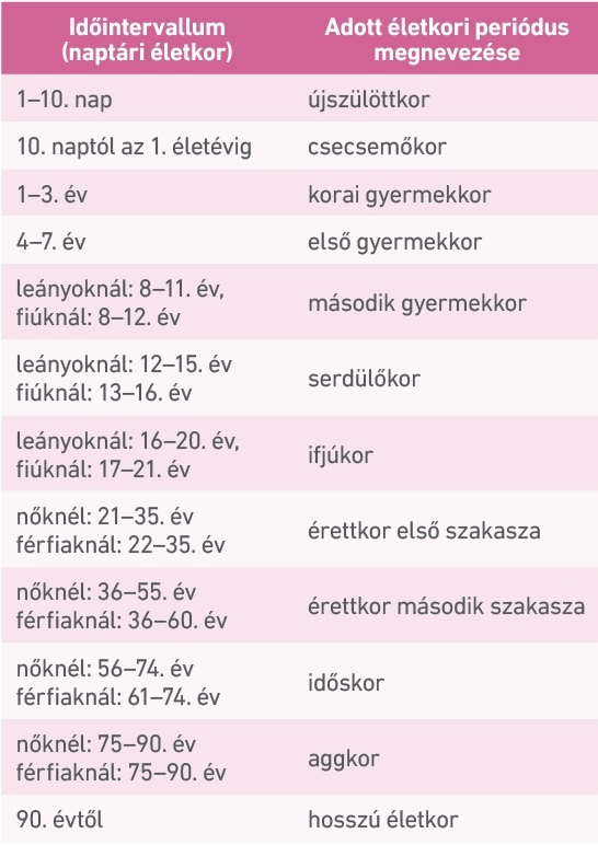 7. táblázat: Biológiai szempontú életkori periodizáció a naptári (kronológiai) életkor alapján (Bodzsár, 2006 alapján)