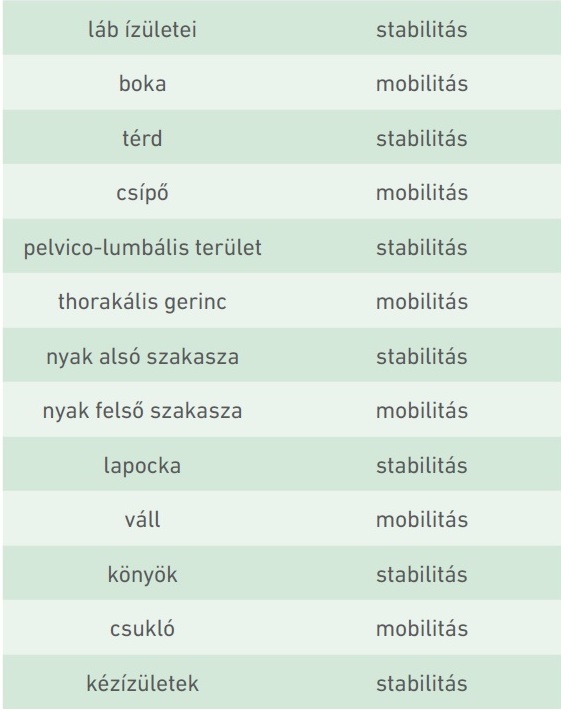 27. táblázat: „Ízületről ízületre” koncepció (Cook, 2010 alapján)