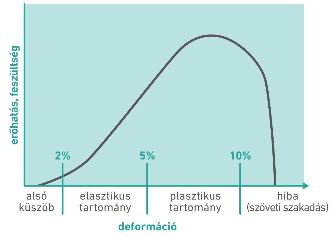 54. ábra: A kötőszövet feszültség-deformáció görbéje