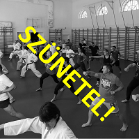 Karate az iskolai testnevelés keretein belül